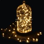 images/product/150/055/6/055600/guirlande-lumineuse-luxe-14-m-blanc-chaud-700-led-cv_55600_2