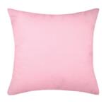 images/product/150/119/9/119914/cyrielle-coussin-40x40cm-rose_119914_1659012516