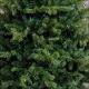 sapin-vert.jpg