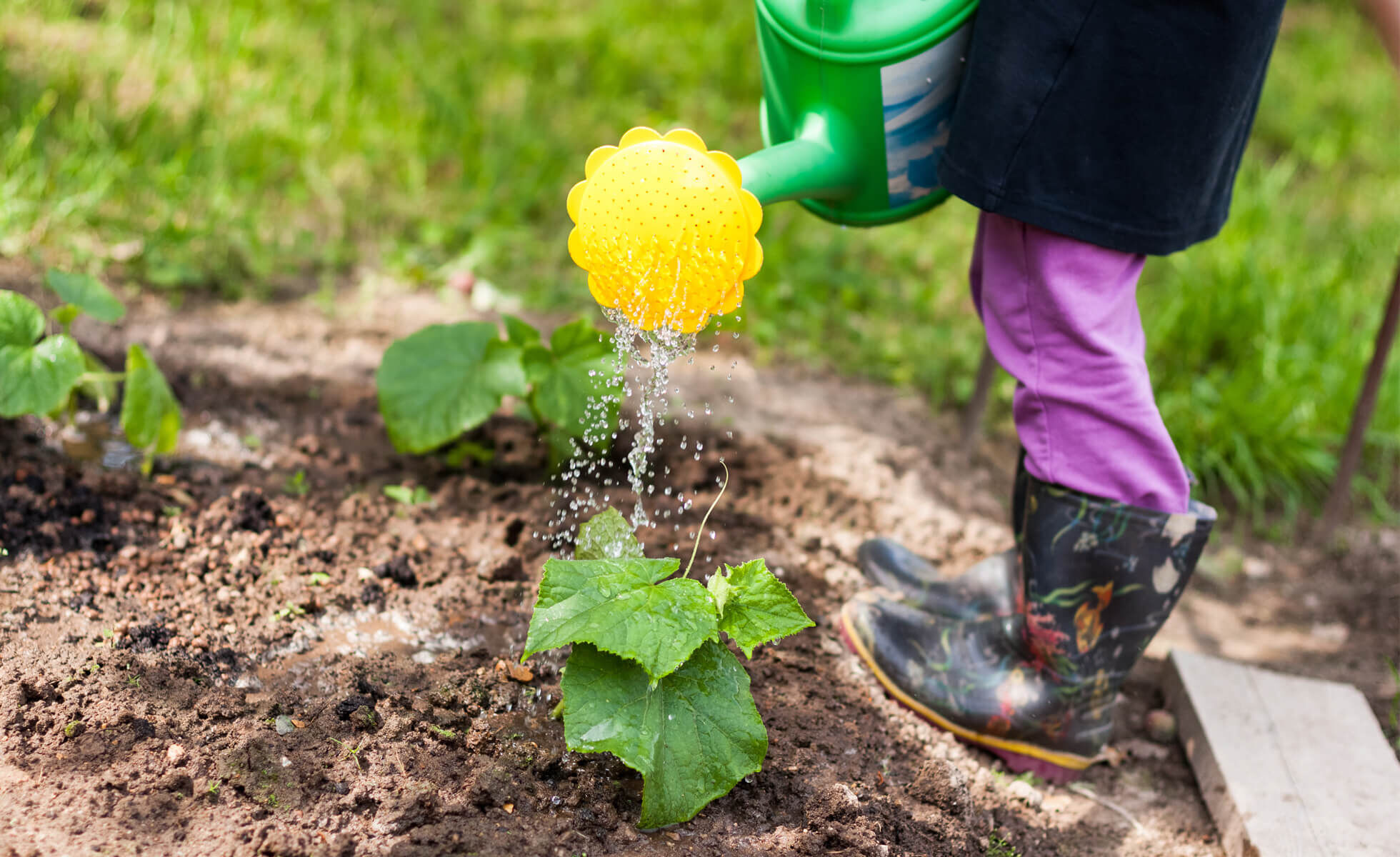Giardino per bambini