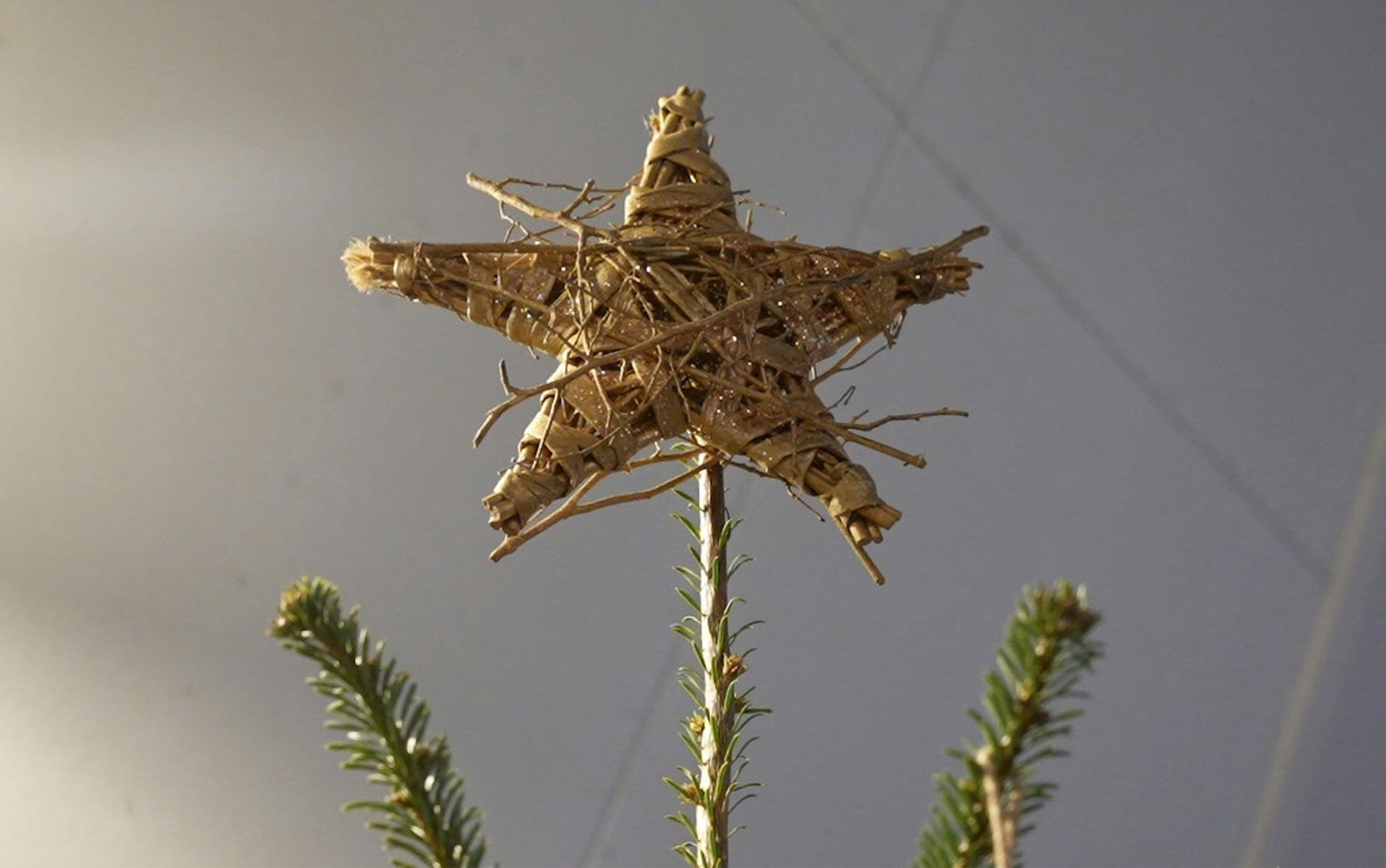 etoile sapin en bois style scandinave