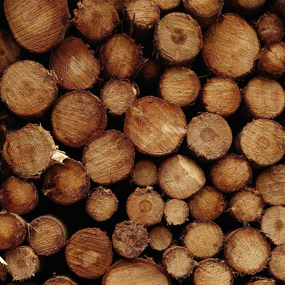 Holzstämme