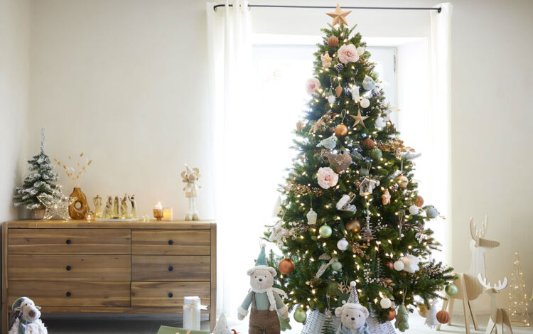 Wie den perfekten Weihnachtsstern fr Ihren Weihnachtsbaum auswhlen?
