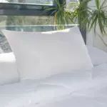 https://cdn1.eminza.com/uploads/cache/legacy_product_150_standard/uploads/media/65006ed316f45/lote-de-2-fundas-para-almohadas-rectangulares-mullidas-anti-acaros-blanco-3