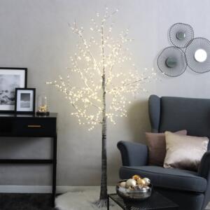Bouleau lumineux Betula H180 cm Blanc chaud