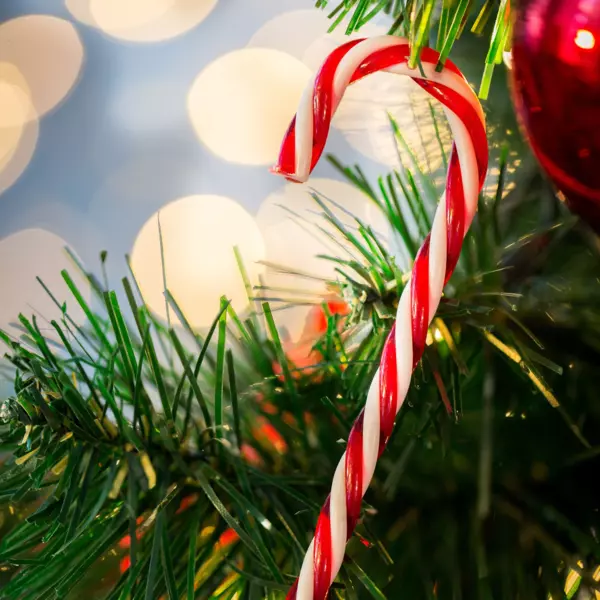 Set van 6 candy canes Jiody om op te hangen Rood