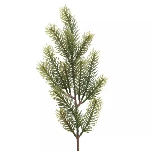 Natuurlijke tak Omorika Groen