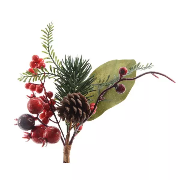 Natuurlijke tak  Hectoria petit format Rood