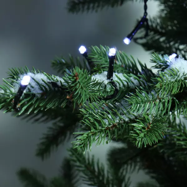 Guirlande lumineuse à piles 1,70 m 24 LED câble noir Durawise Blanc froid