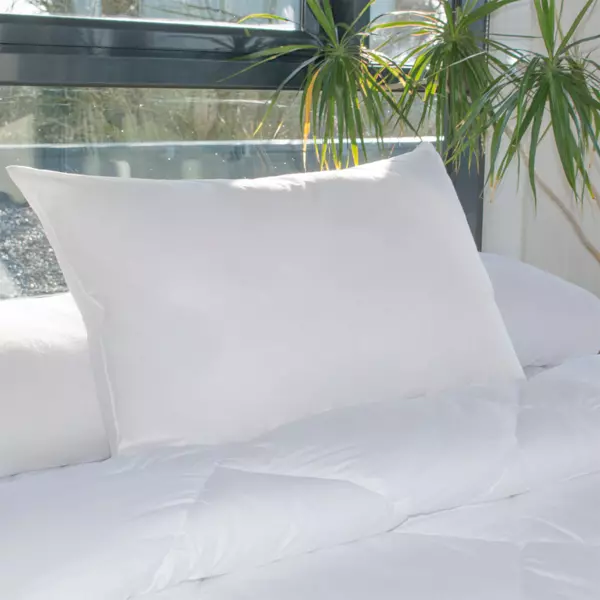 https://cdn1.eminza.com/uploads/cache/legacy_product_600_standard/uploads/media/65006ed316f45/oreillers-rectangulaires-lot-de-2-moelleux-anti-acariens-blanc-3