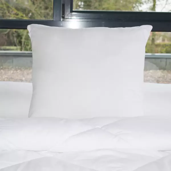 Lot de 2 oreillers carrés moelleux (60 x 60 cm) Lavables à 95 ° Blanc