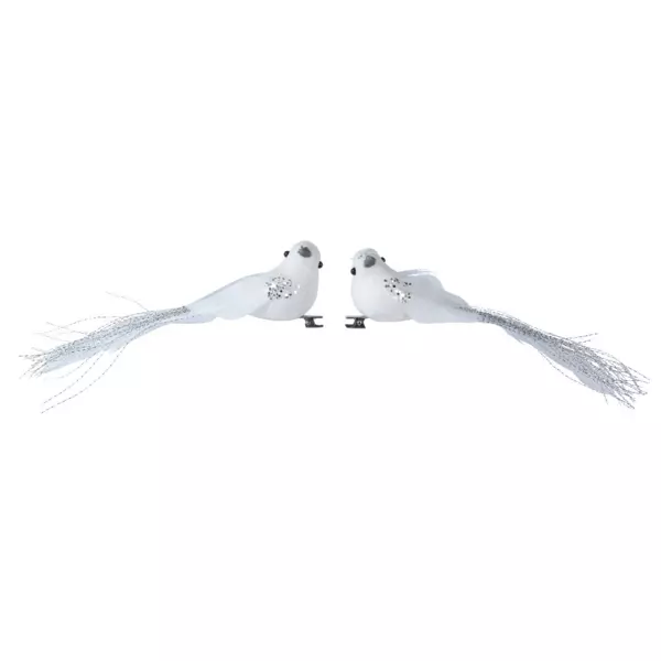 Set van 2 vogels Paradis Wit