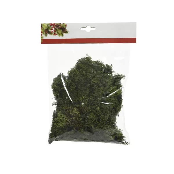 Sachet de mousse 100 gr