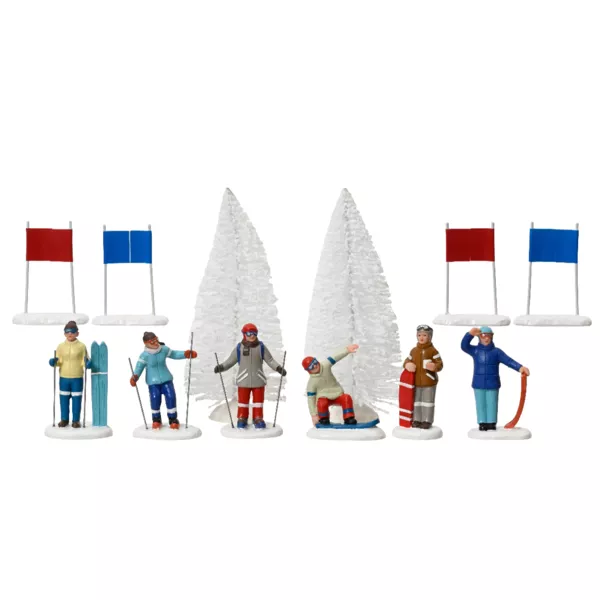 Set van 12 skirs en winter sportaccessoires