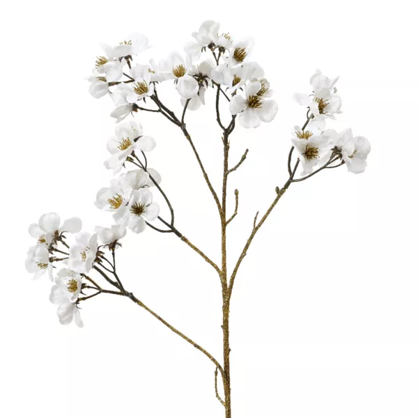 Tak met bloemen (H78 cm) Fluweelachtige Kornoelje Wit