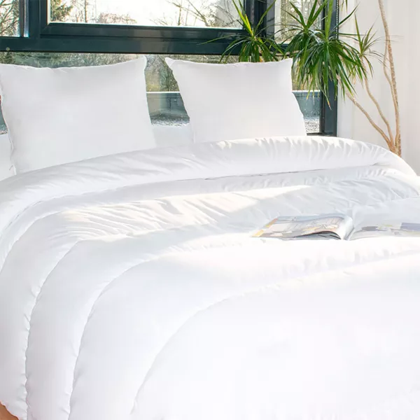 Lot Couette chaude anti-acariens (260 x 240 cm) + 2 Oreillers (60 x 60 cm) Comète Blanche