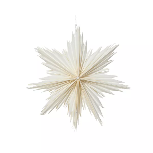 Kersthanger van papier (D30 cm) IJzige Ster Wit