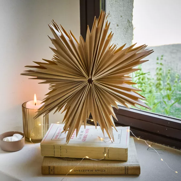 Kersthanger van papier (D30 cm) IJzige Ster Natuurlijk