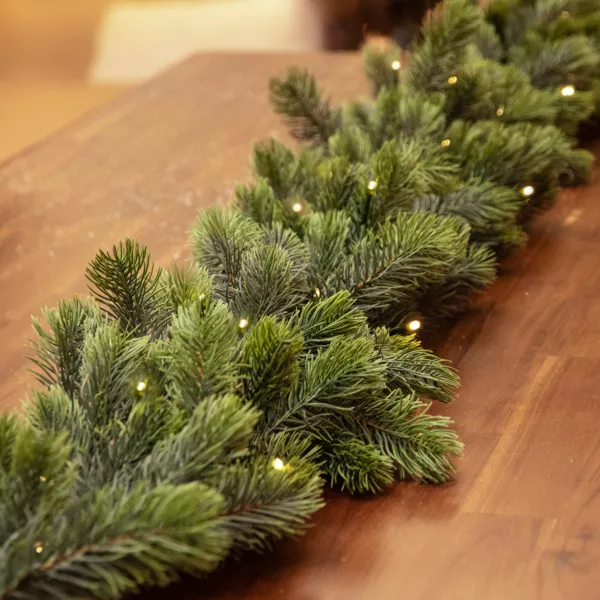 Lichtgevende kerstslinger 50 Led (270 cm - D30) Manitoba Warm Wit