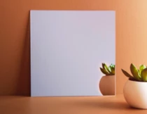 naf-deco-sdb-miroir-396x306.jpg