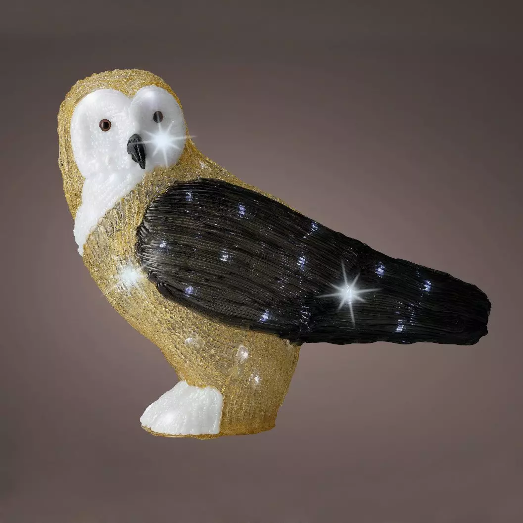 chouette ☆  Chouette Rainbow White Ceramic Crystal Watch – HAUSE TORONTO