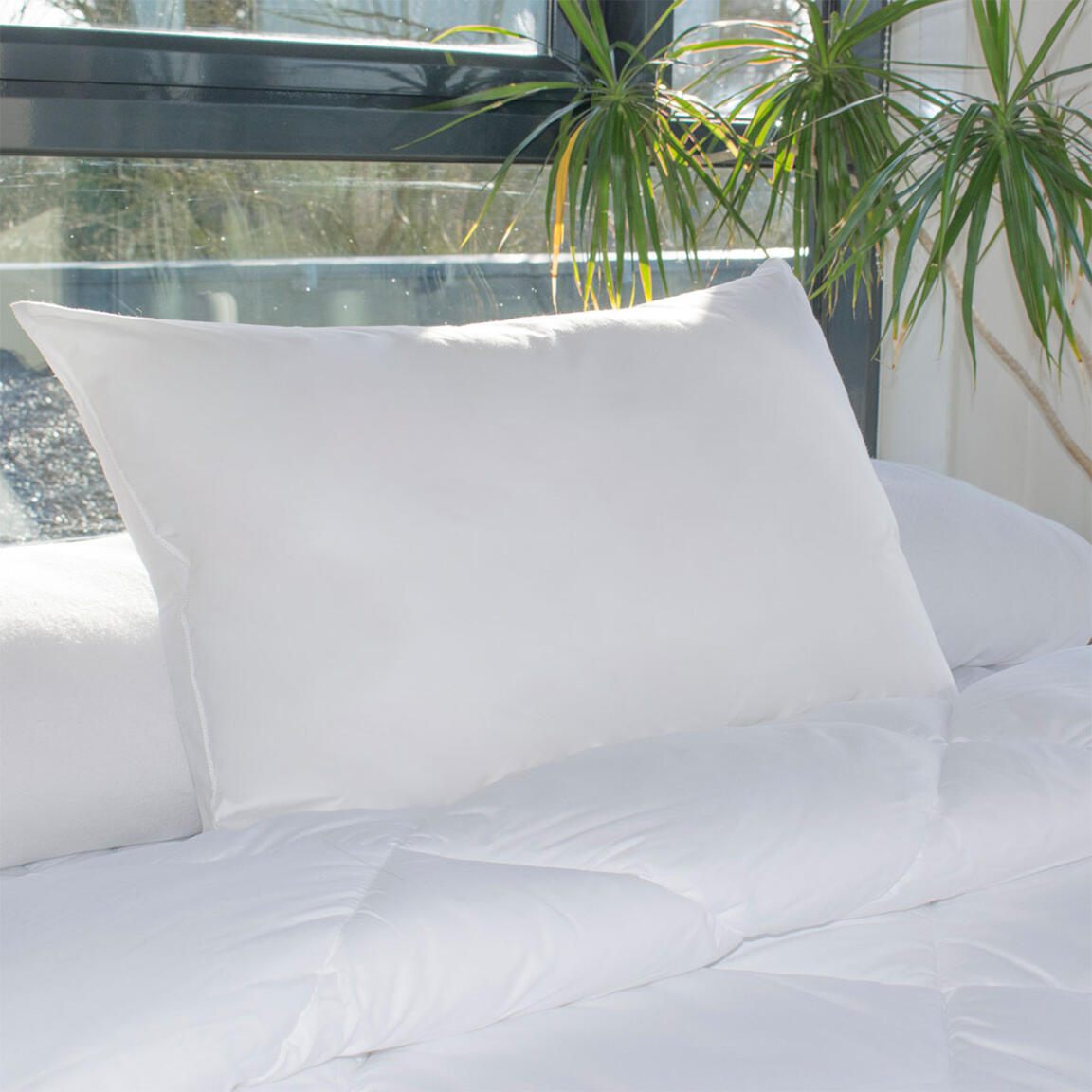 Set di 2 cuscino letto rettangolare Moelleux Antiacaro Bianco - Biancheria  da letto - Eminza