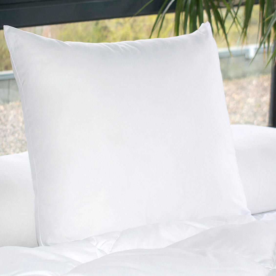 Set di 2 cuscini letto quadrati (60 cm) Moelleux Antiacaro Bianco -  Biancheria da letto - Eminza