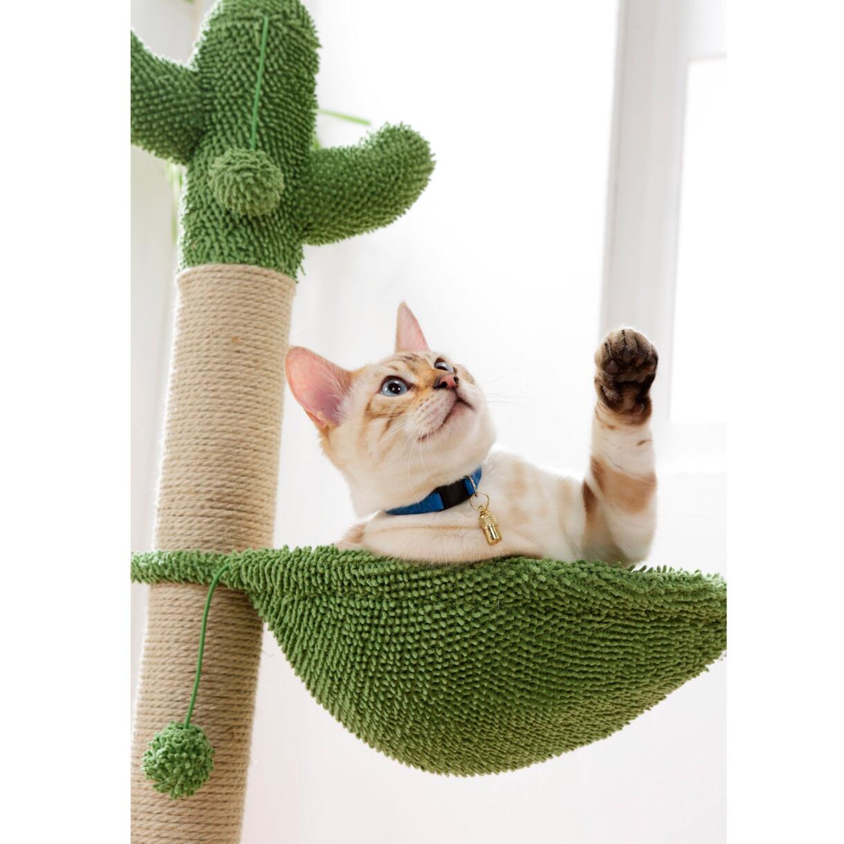 Arbre à chat Cactus avec jouet et hamac Vert 1