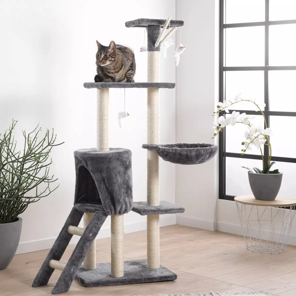Arbre à chat 4 plateformes et 4 jouets H138 cm Anthracite 1