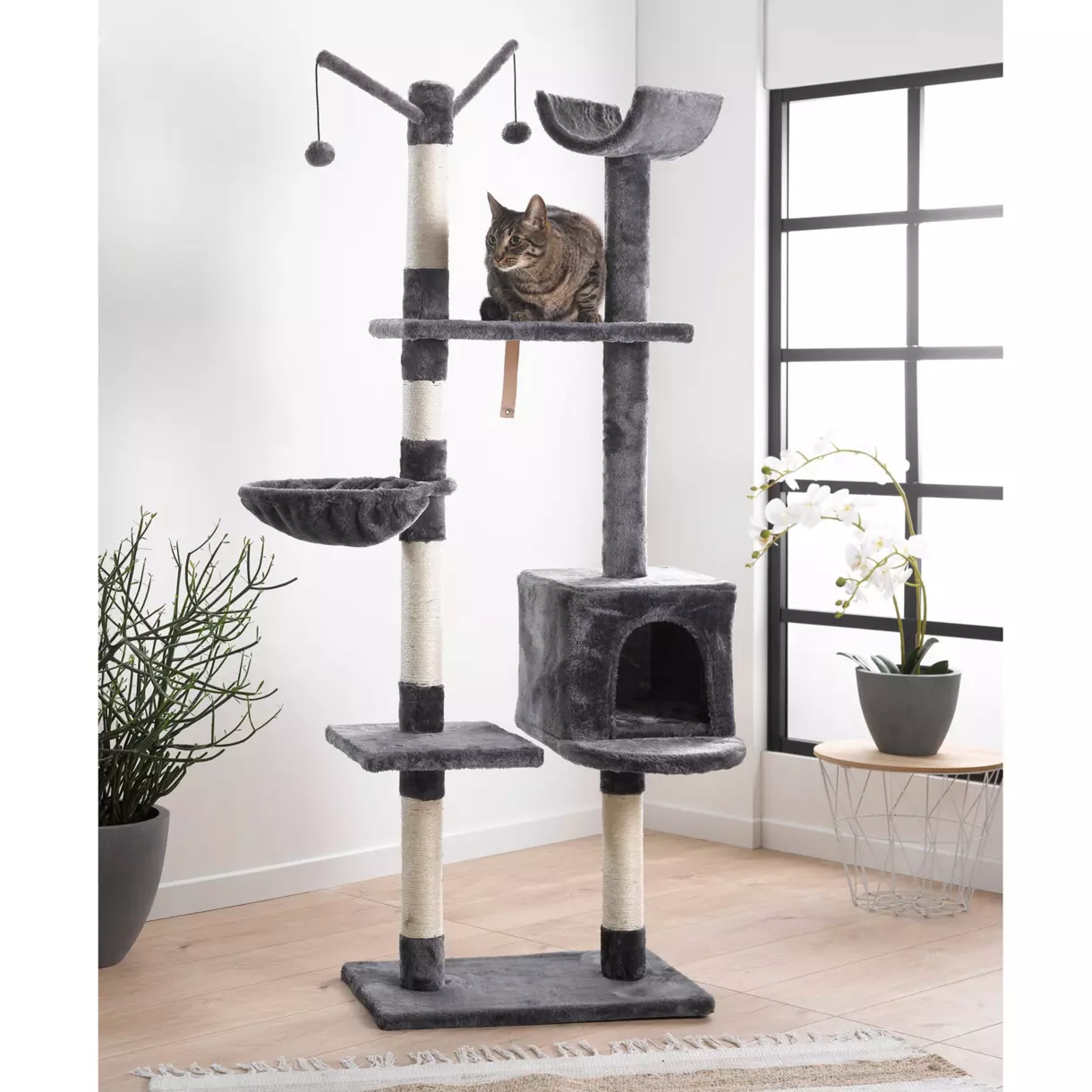 Árbol para gatos con 4 plataformas y juguetes H160 cm Antracita	 1