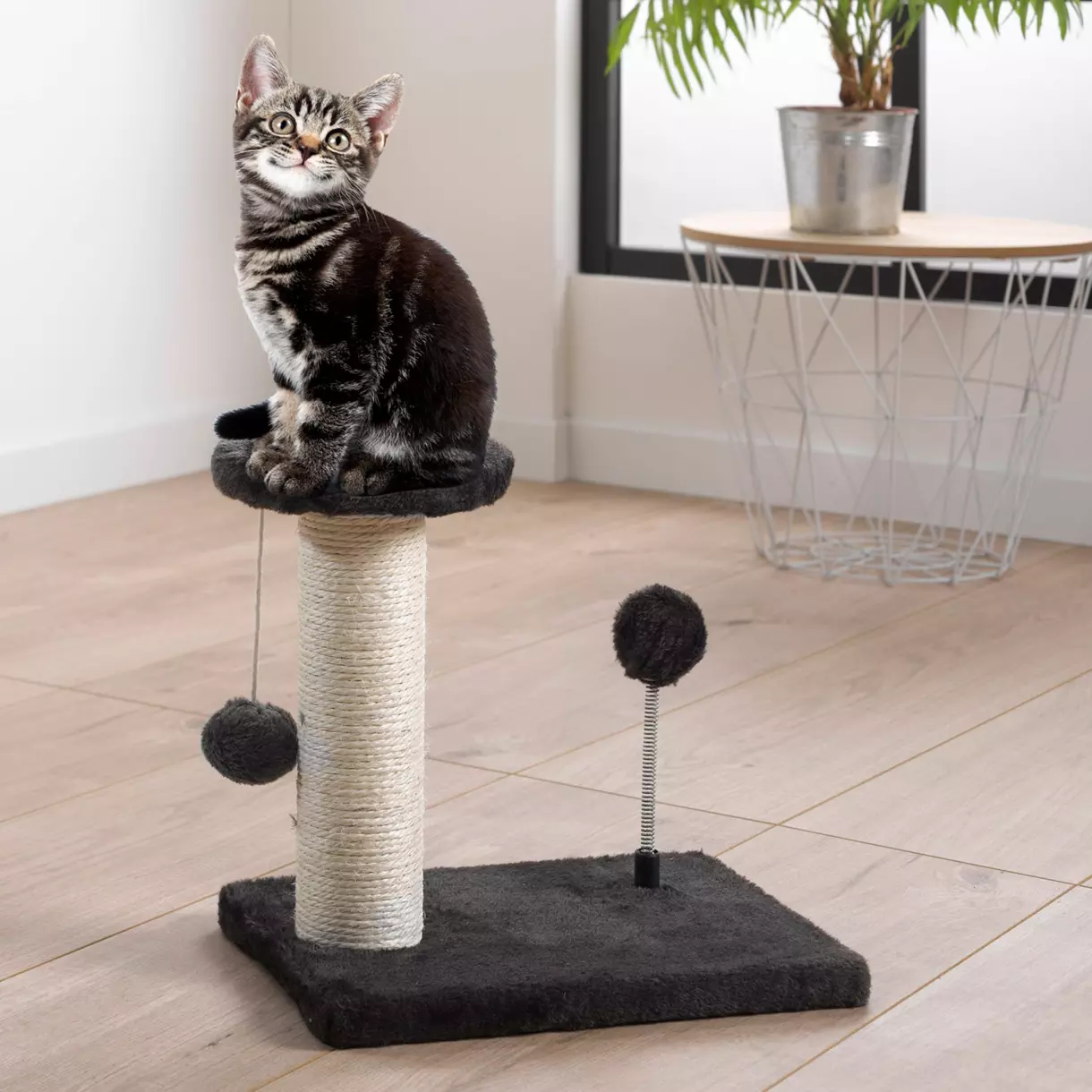 Arbre à chaton avec jouets Anthracite 1