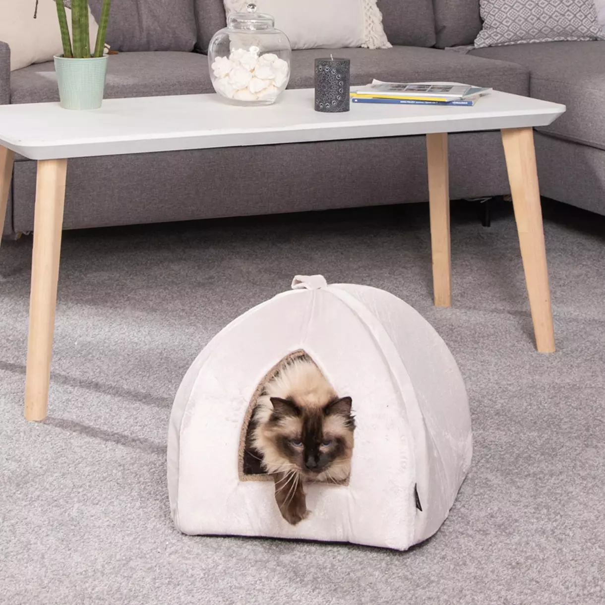 Tente d'intérieur pour chat Sweet Cat L35 cm Ecru 1