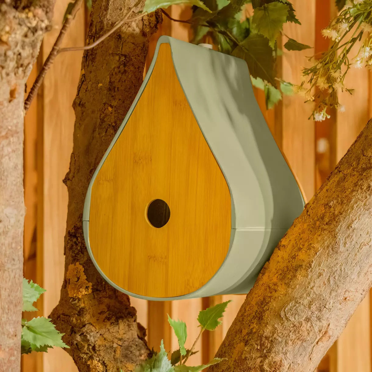 Nichoir Cosy Vert tilleul 1