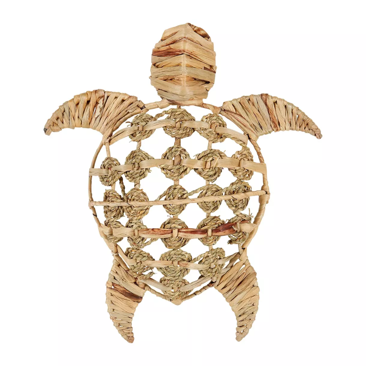 Tortuga de pared en Jacinto de agua Beige 1