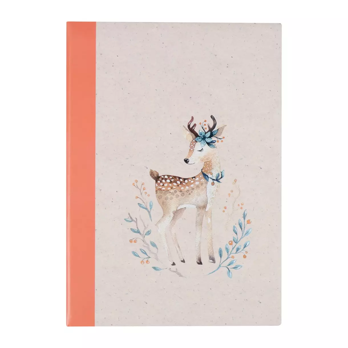 Album Photos 200 vues Biche Multicolore 1