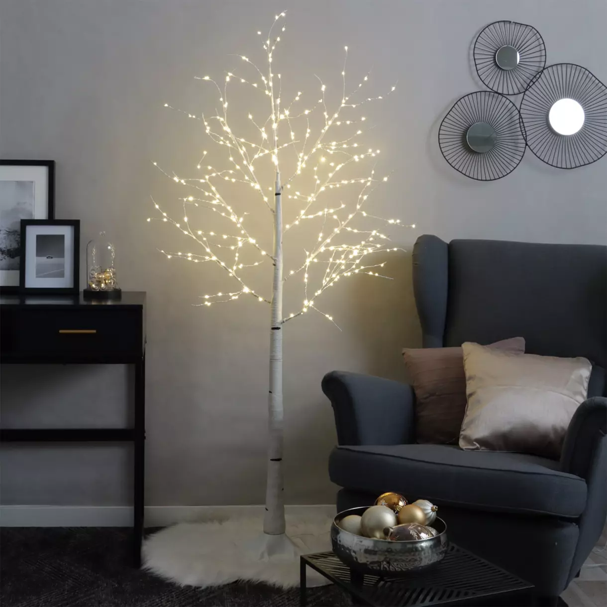 Abedul luminoso Lucidum Altura 150 cm 1
