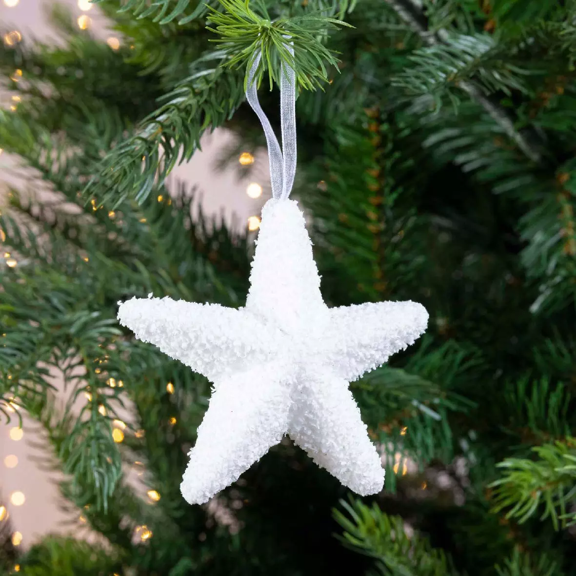 Lot de 6 étoiles de Noël à suspendre starlettes Blanc 1