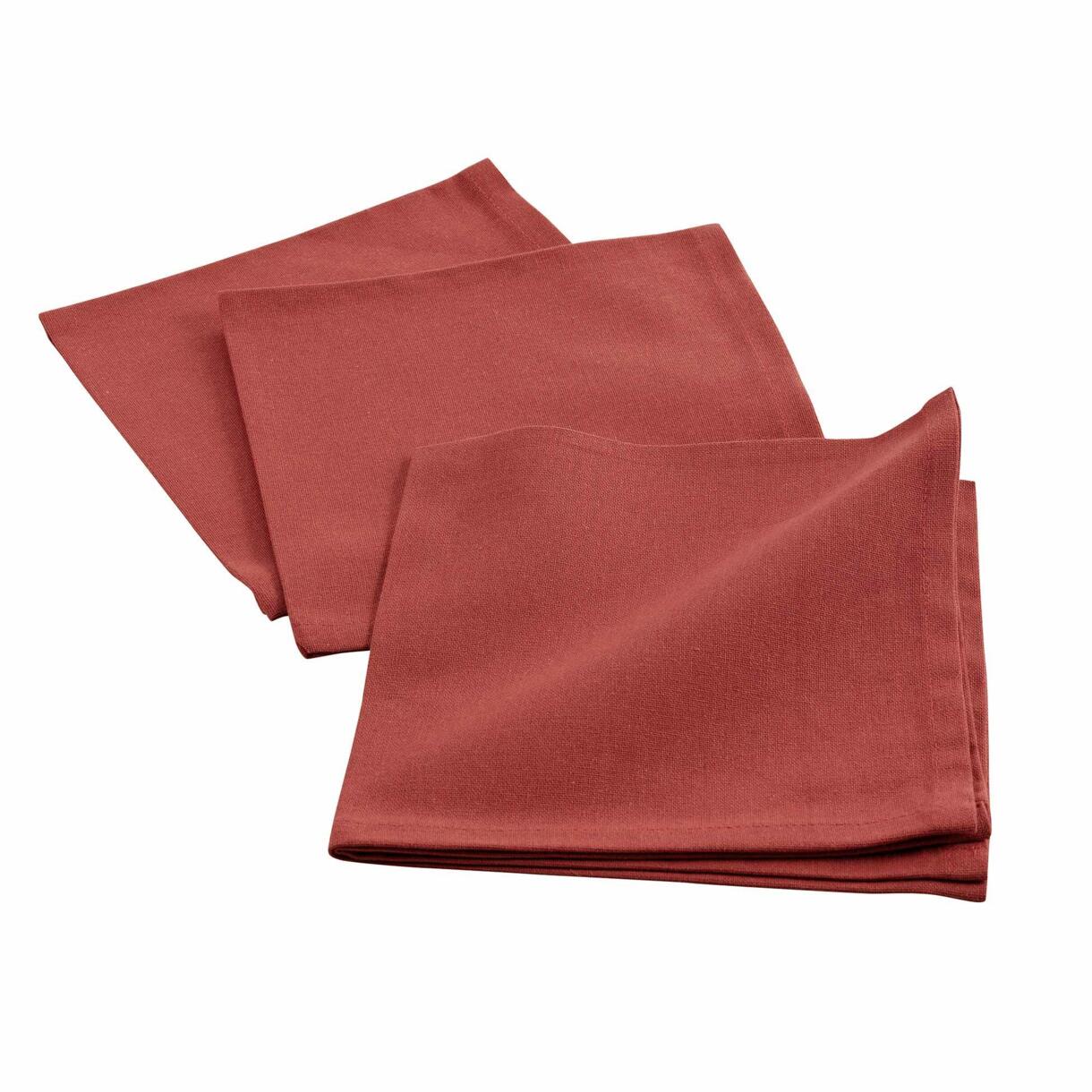 Lot de 3 serviettes coton Initia Terracotta 1