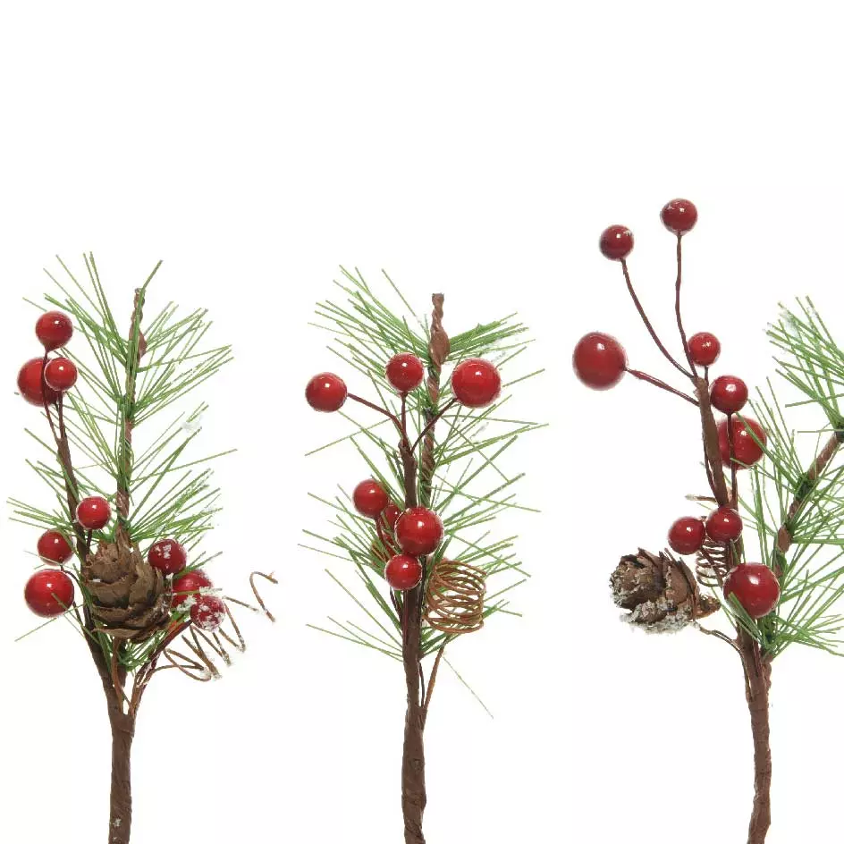 Lot de branches Sapina Rouge 1