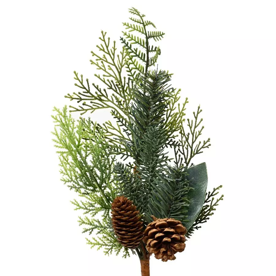 Branche  Epicéa Vert sapin 1