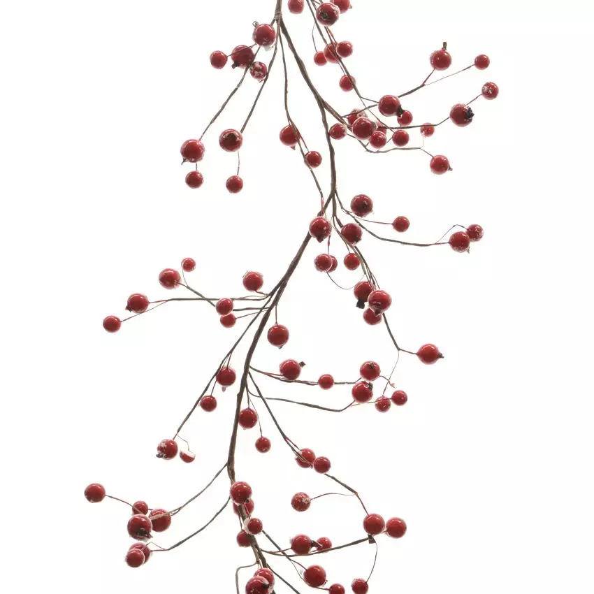 Branche  Arbora Rouge 1