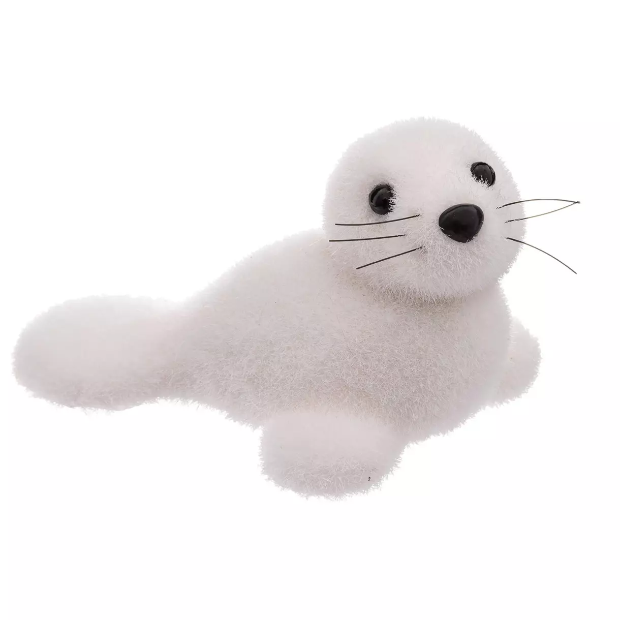 Zeehond Baby 1