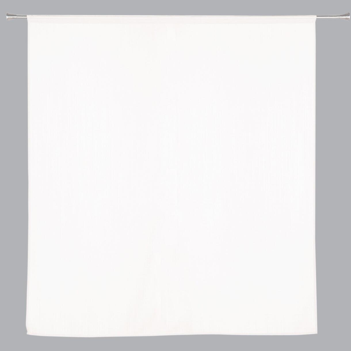 Tendine trasparenti a vetro (100 x 100 cm) Etamine givrée Bianco 1