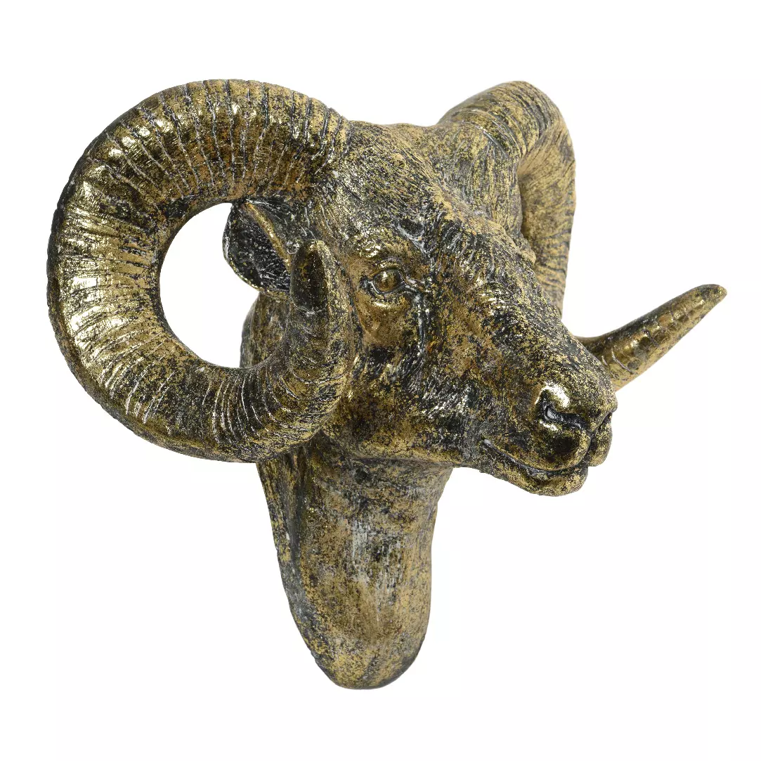 Bokkenkop  Goud 1