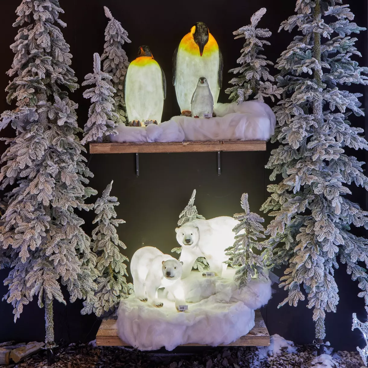 Pingouin lumineux Zélian Blanc froid 8 LED 6