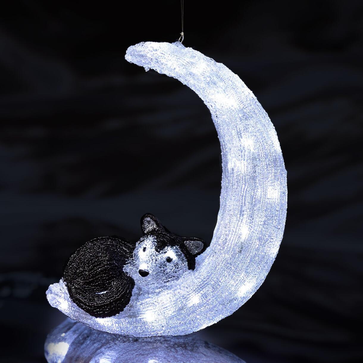 Perro luminoso Husky et lune Blanco frío 40 LED 1