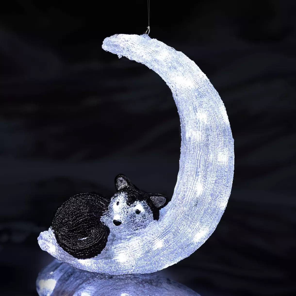 Chien lumineux à piles Husky et lune Blanc froid 40 LED 1
