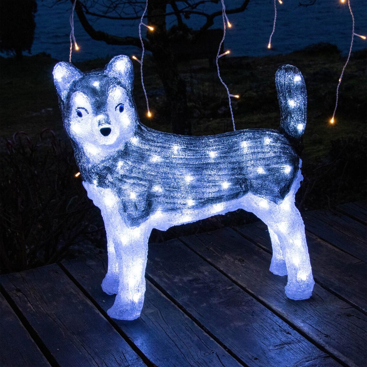 Verlichte hond Snowy Koud wit 80 LED 1