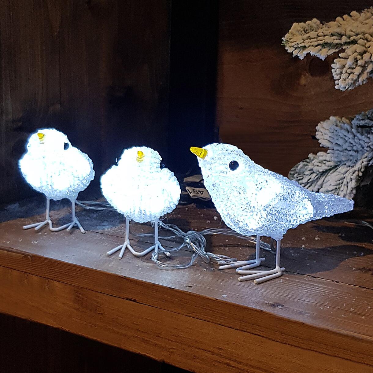 Lot de 3 oiseaux lumineux à piles Fauvette Blanc froid 30 LED 1