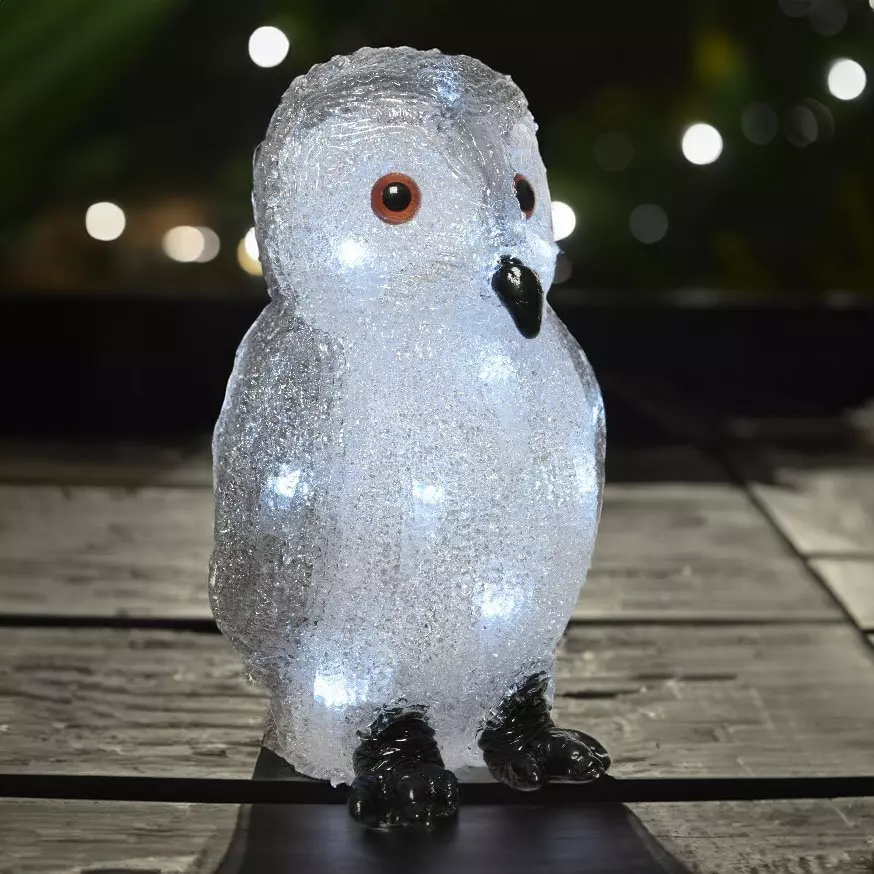 Chouette Luciana à piles luminoso  20 LED 1